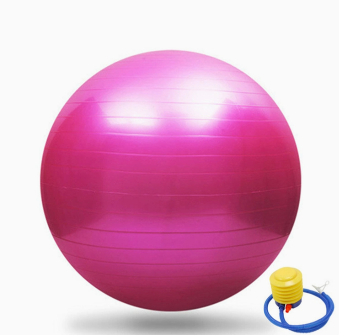 Équipement à vendre balle de Pilates de gymnastique avec Logo exercice balle de Yoga d'équilibre 25 cm 50 cm 65 cm balle de Pilates